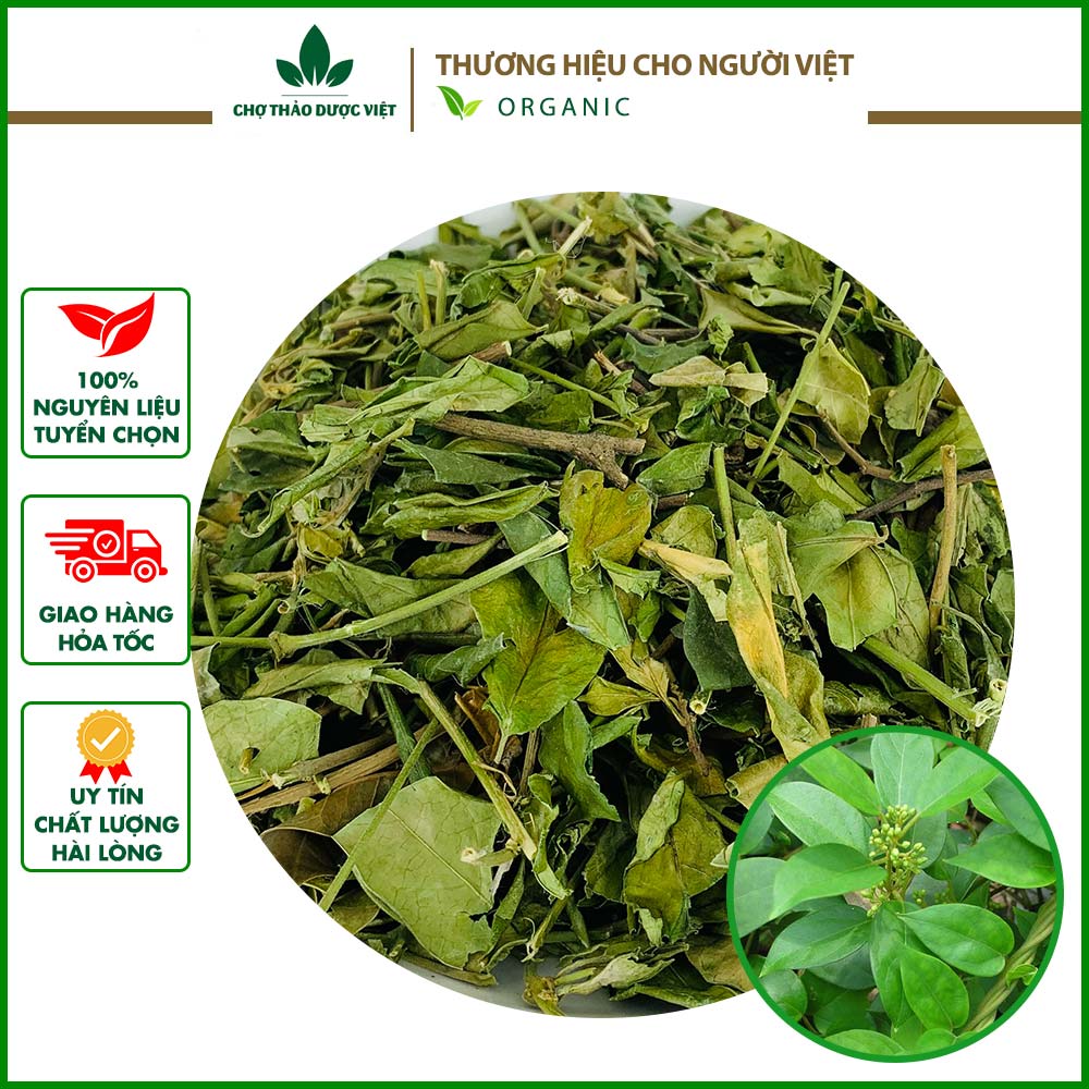 Trà Dây Thìa Canh Cao Cấp 100g Hỗ Trợ Giảm Cân, Hạ Huyết Áp