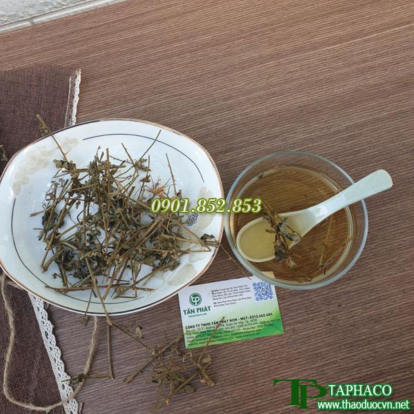 Cà gai leo khô 500g - Hỗ trợ thanh nhiệt và giải độc - Làm mát cơ thể - Hàng sạch xanh giá tốt - Thảo Dược Tấn Phát