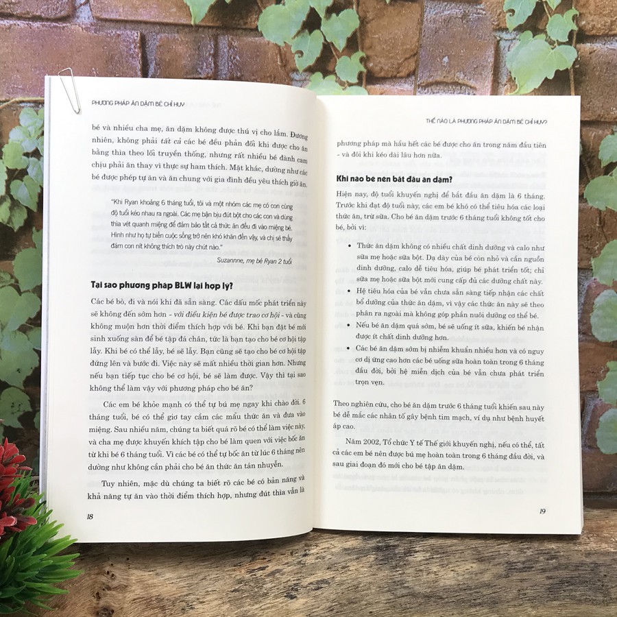 Sách - Phương pháp ăn dặm bé chỉ huy BLW [Thái Hà Books]