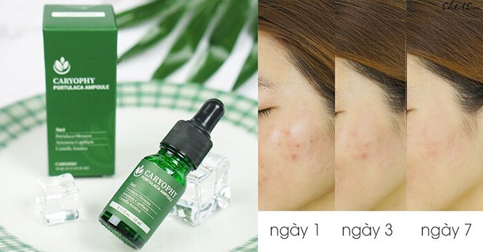SERUM CARYOPHY PORTULACA AMPOULE 10ml
