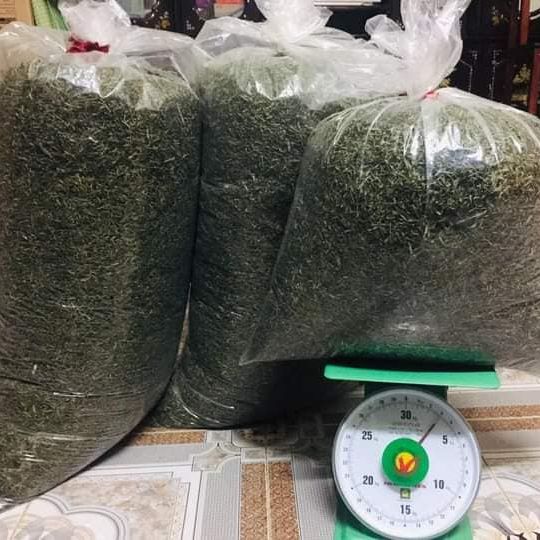 1kg Lá Đắng Khô. Đặc Sản Thanh Nghệ Tĩnh