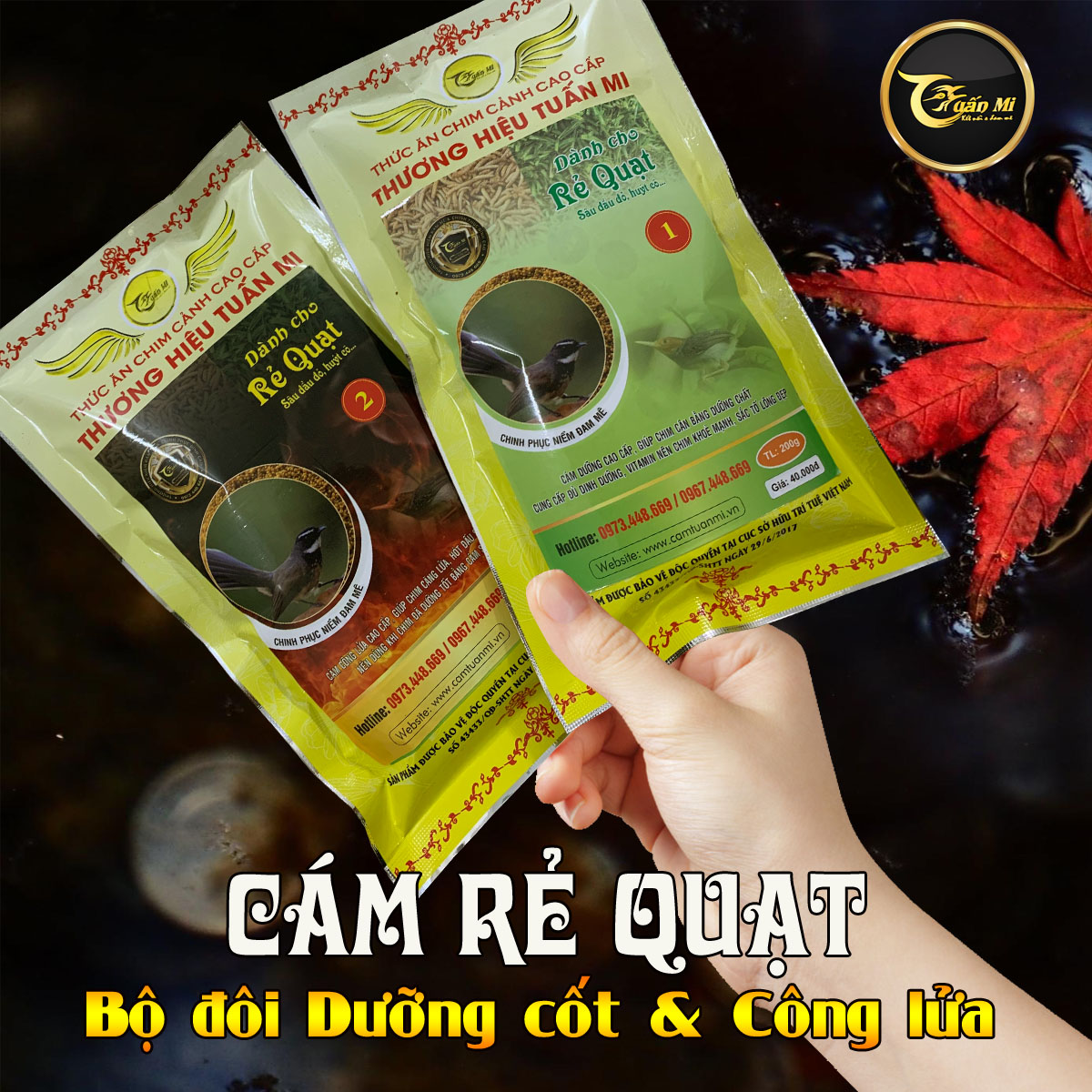 Cám Rẻ Quạt căng lửa số 2 (Thương hiệu Tuấn Mi)