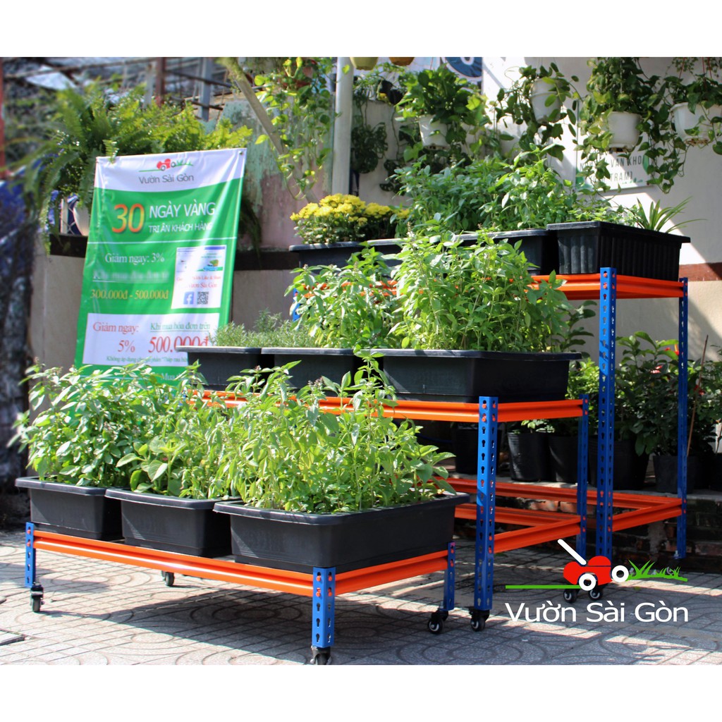 Kệ trồng rau lắp ghép thông minh sơn tĩnh điện cao cấp (kệ số 3 - KỆ THẤP NHẤT TRÊN HÌNH - 121 x 55 x 27cm) (Vườn Sài Gòn - Vuon Sai Gon)