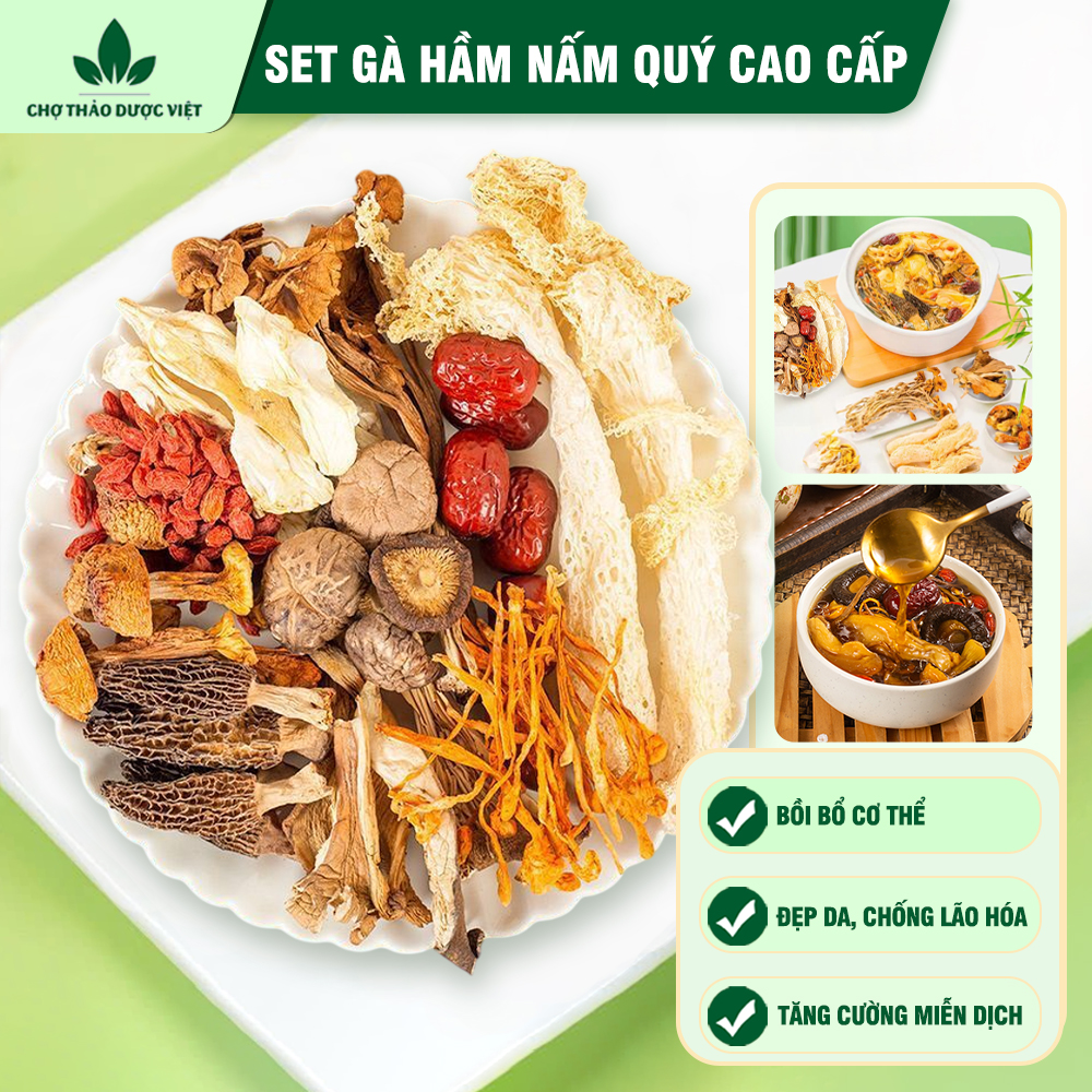 Set gà hầm nấm quý, nguyên liệu nấu gà tần, chim câu, lẩu nấm thơm ngon bổ dưỡng - Chợ Thảo Dược Việt