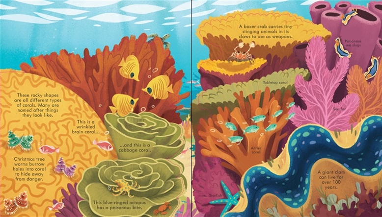 LOOK INSIDE SEAS AND OCEANS