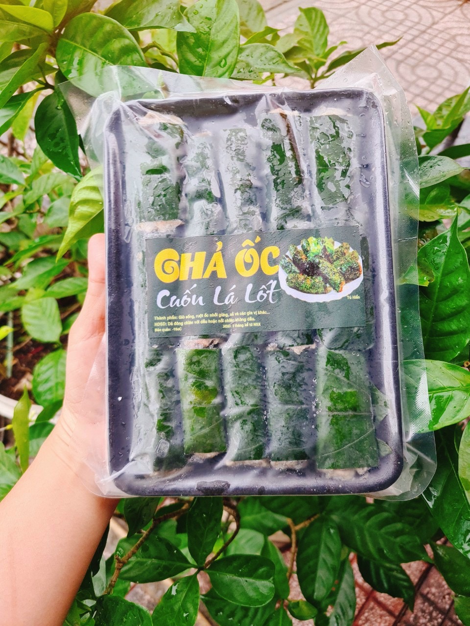 Chả ốc cuốn lá lốt y hình khay 10 cuốn
