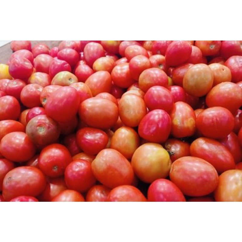 Date mới nhất - Cholimex Tương cà 270g chai PET