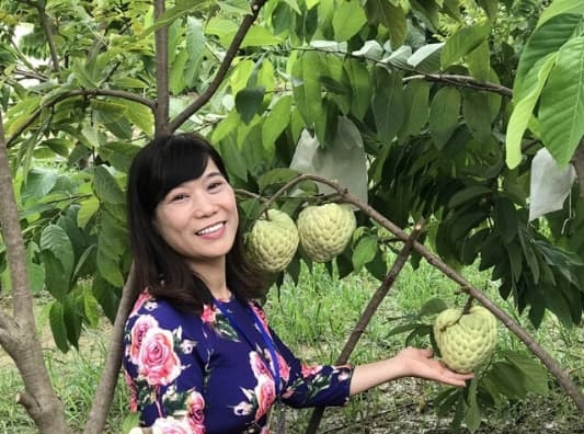cây giống NA THÁI LAN