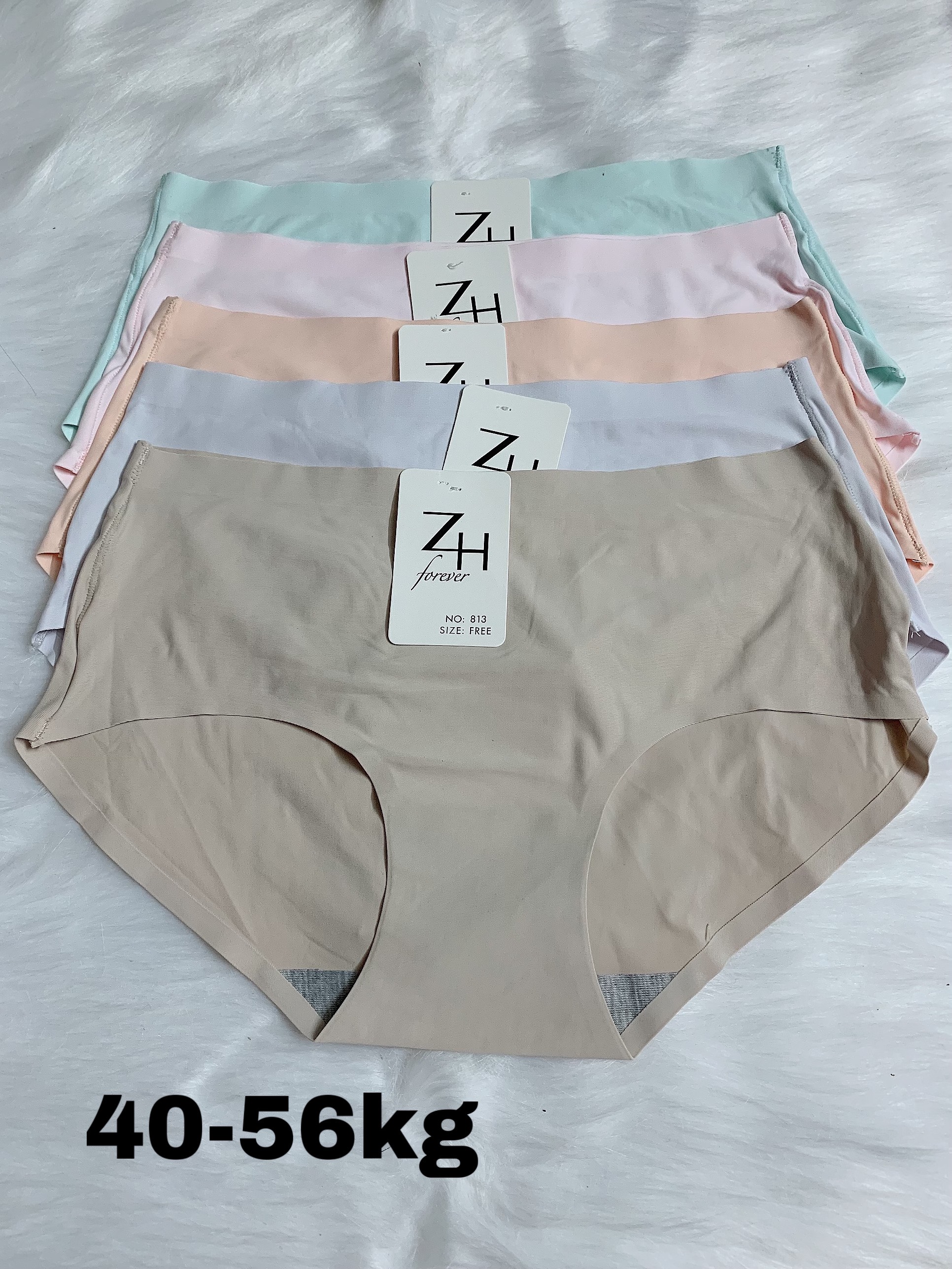 Set 5 quần chip su trơn ZH