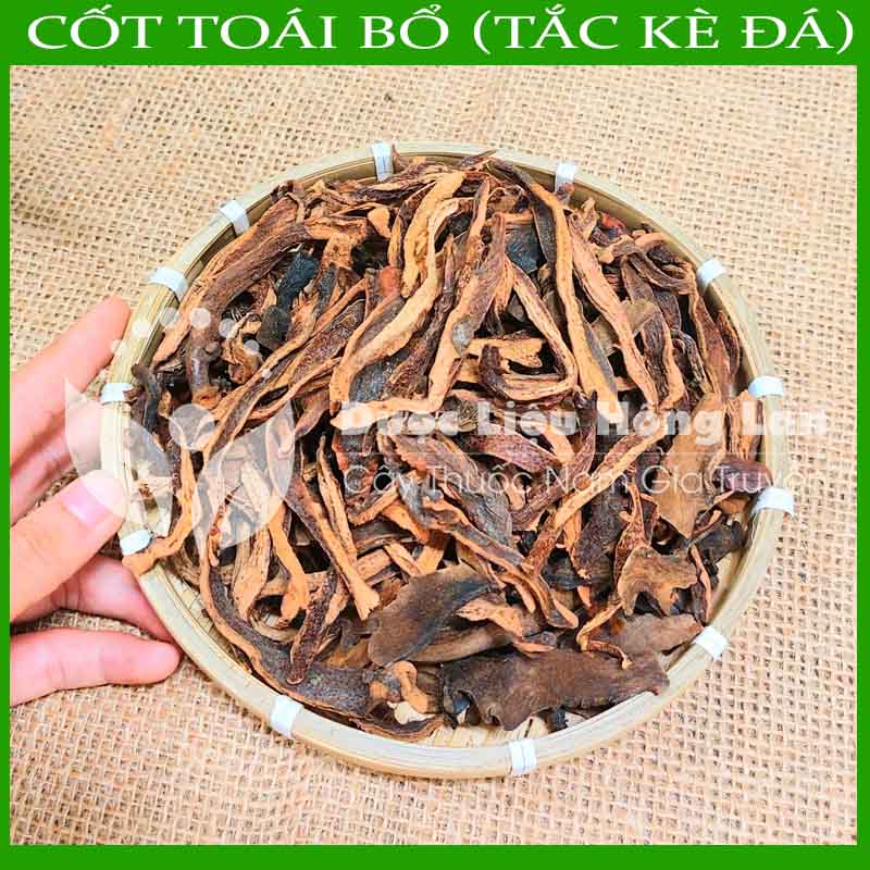 Dược liệu cốt toái bổ khô sạch đóng gói 500gram