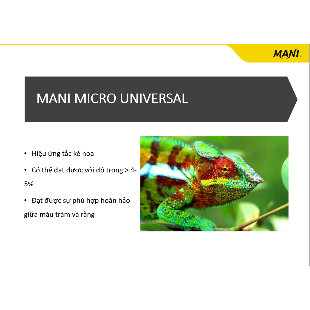 Composite lai trám thẩm mỹ Mani Micro (Hộp x tuýp 4g)
