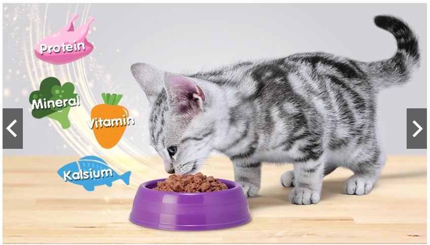 [NGUYÊN HỘP] 24 gói pate MÈO CON VÀ LỚN Whiskas Junior 85g