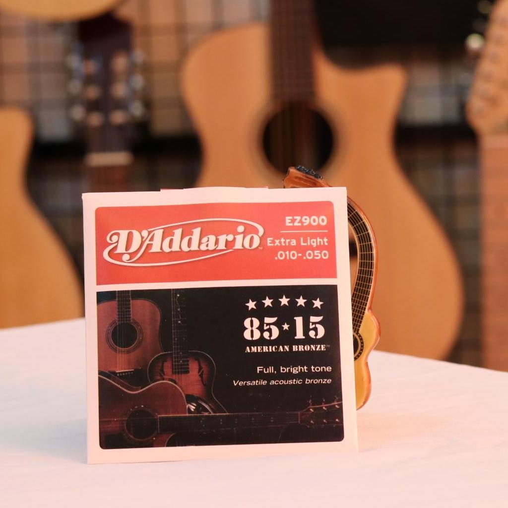 D'Addario Ez900 Acoustic Guitar Strings