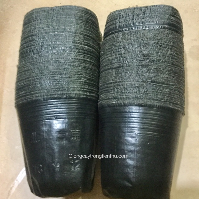 TÚI BẦU ƯƠM CÂY GIỐNG