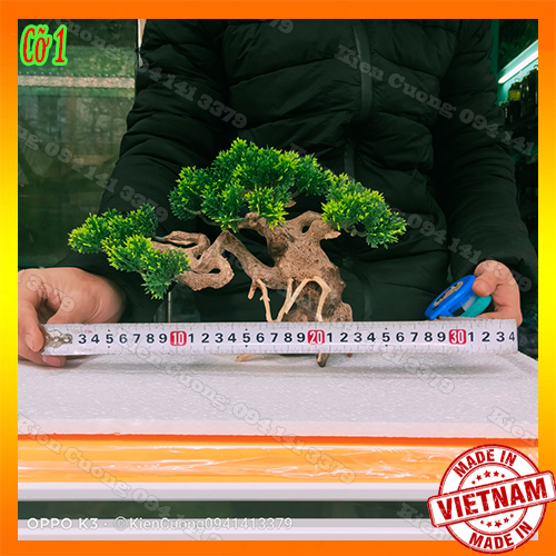 Cây gỗ lũa thủy sinh dùng cho bể cá cảnh, gỗ lúa cao cấp (Mẫu 12)