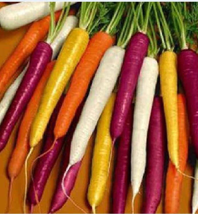 Hạt giống cà rốt mix màu - gói 50 hạt