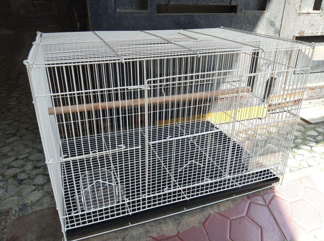 1 lồng chứa 60x40 dùng nuôi chim, yến phụng và các dòng vẹt nhỏ, trung