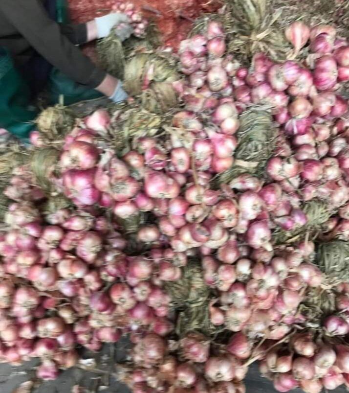 Tỏi tép to dễ bóc, chắc mẩy