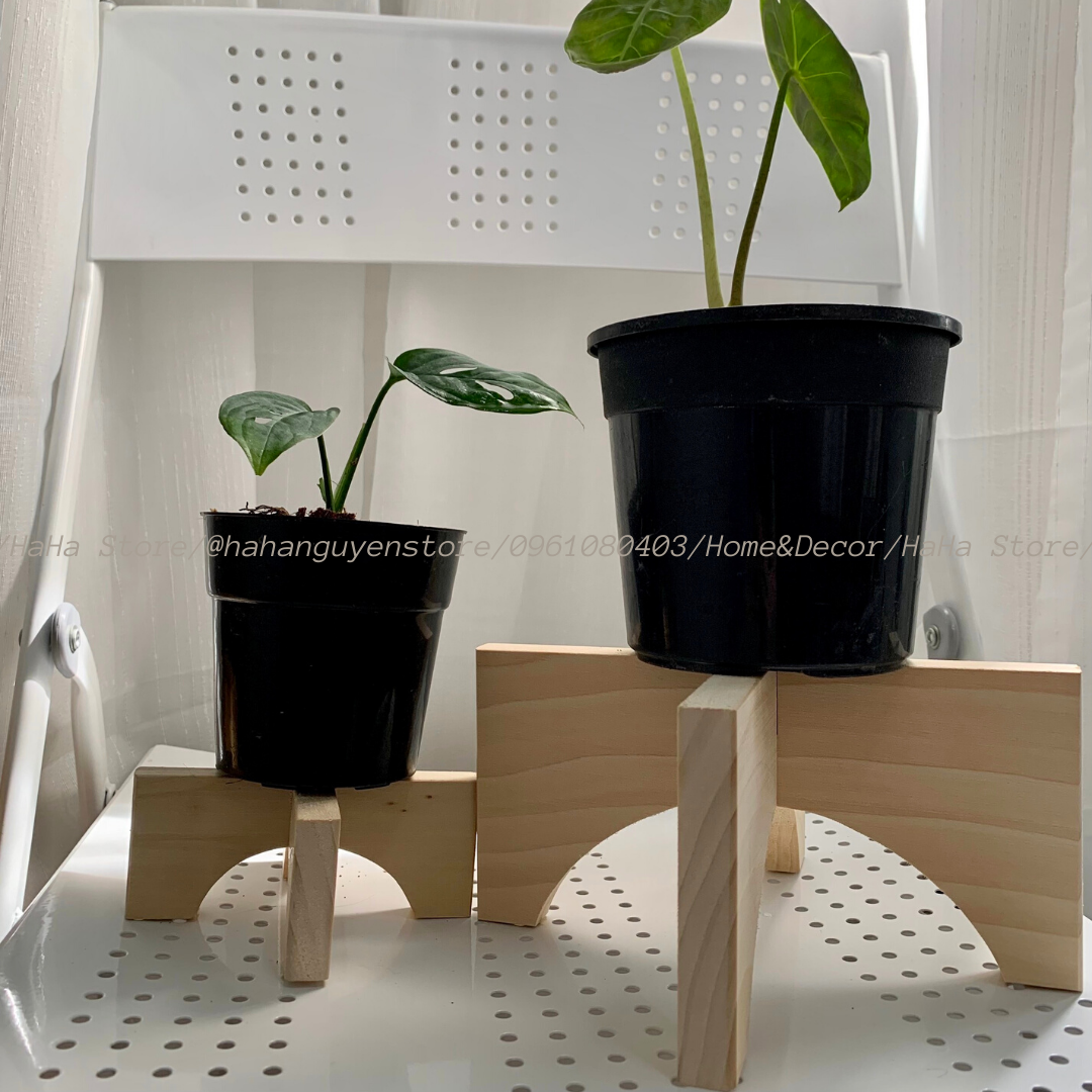Đôn Gỗ Đặt Chậu Cây Chân Gỗ Để Cây Cảnh CCG11