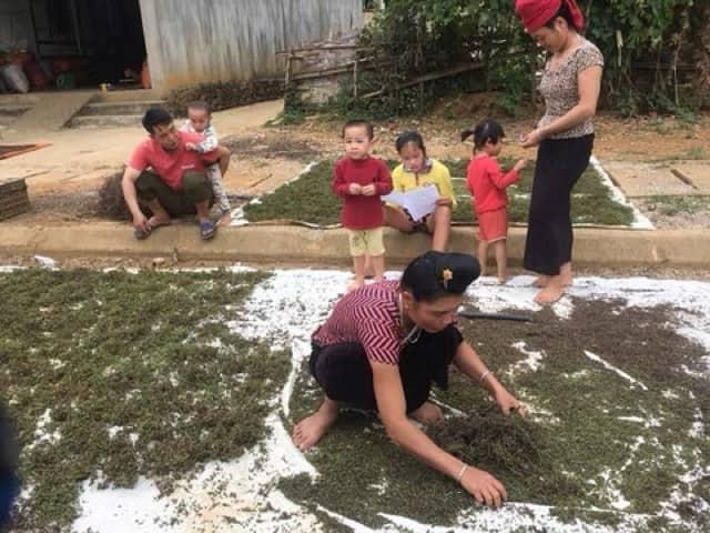 500gr hạt mắc khén ( tiêu rừng) đặc sản