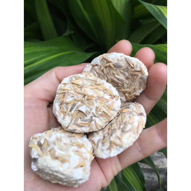 (1kg) Men trấu ủ rượu, ủ cơm rượu loại viên