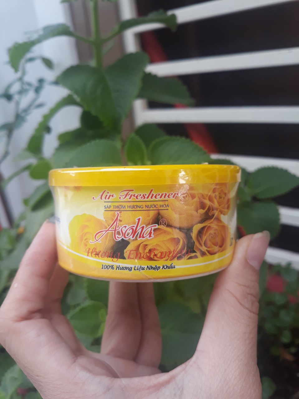 [HCM]Sáp thơm ASOHA 100G