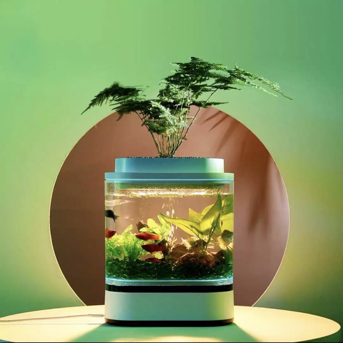 Bể cá thủy sinh thông minh Xiaomi HFJH Mini