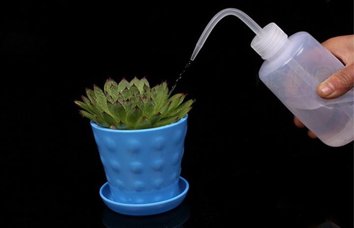 Mini Bonsai watering can (500ml)