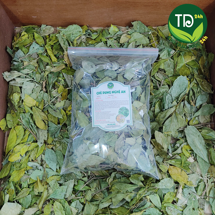 Chè Dung Nghệ An, giảm huyết áp, cực tốt cho ai đau dạ dày, trợ tiêu hóa, thanh lọc cơ thể, tiêu mỡ, giảm cân I Kho Thảo Dược 24h
