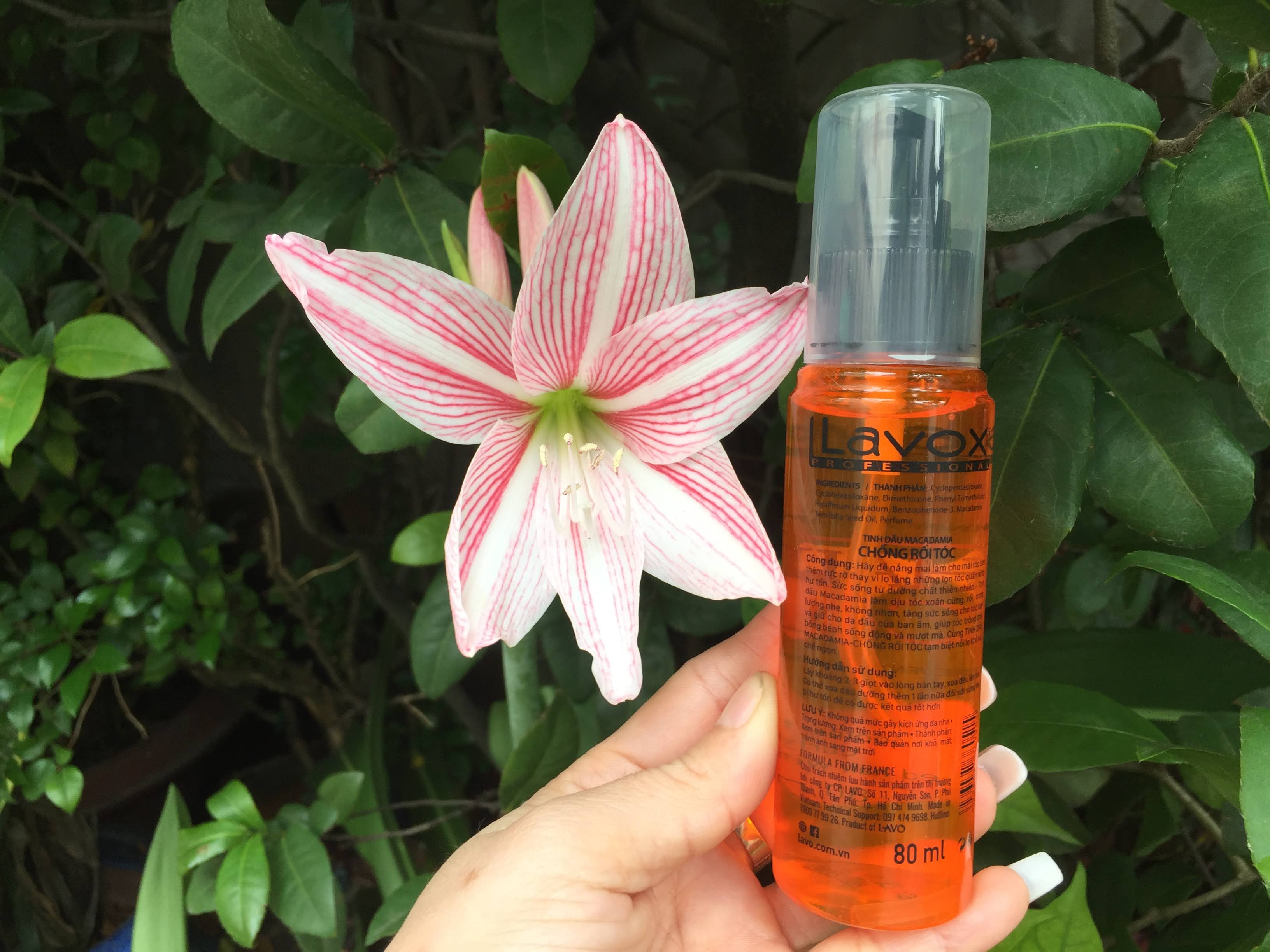 Chai xịt Dầu bóng tóc Lavox 80 ml