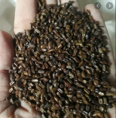 💥 (500G) TRÀ HẠT MUỒNG - THẢO QUYẾT MINH