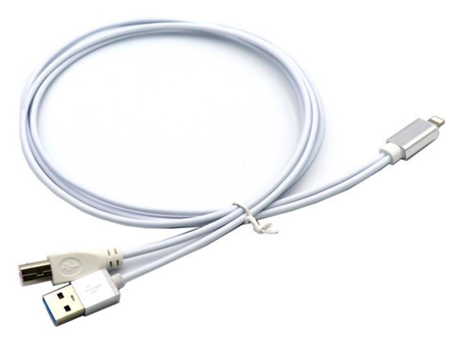 Dây chuyển đổi từ Lightning ra USB Type A và Type B - Dây Iphone ra DAC