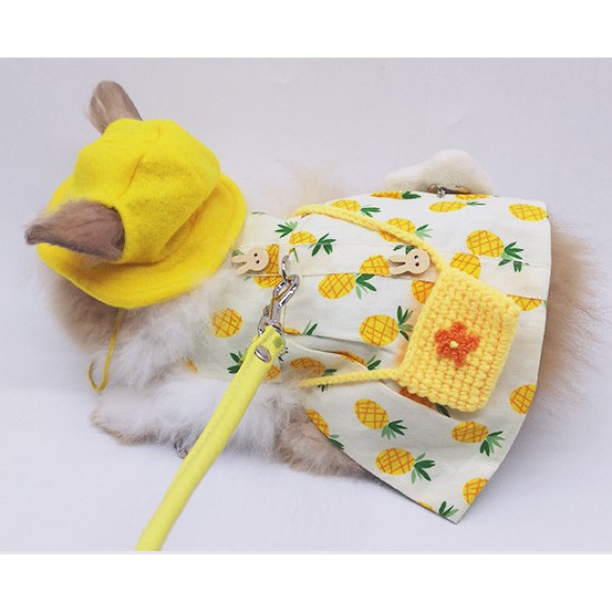 Bộ áo và dây dắt cho Thỏ