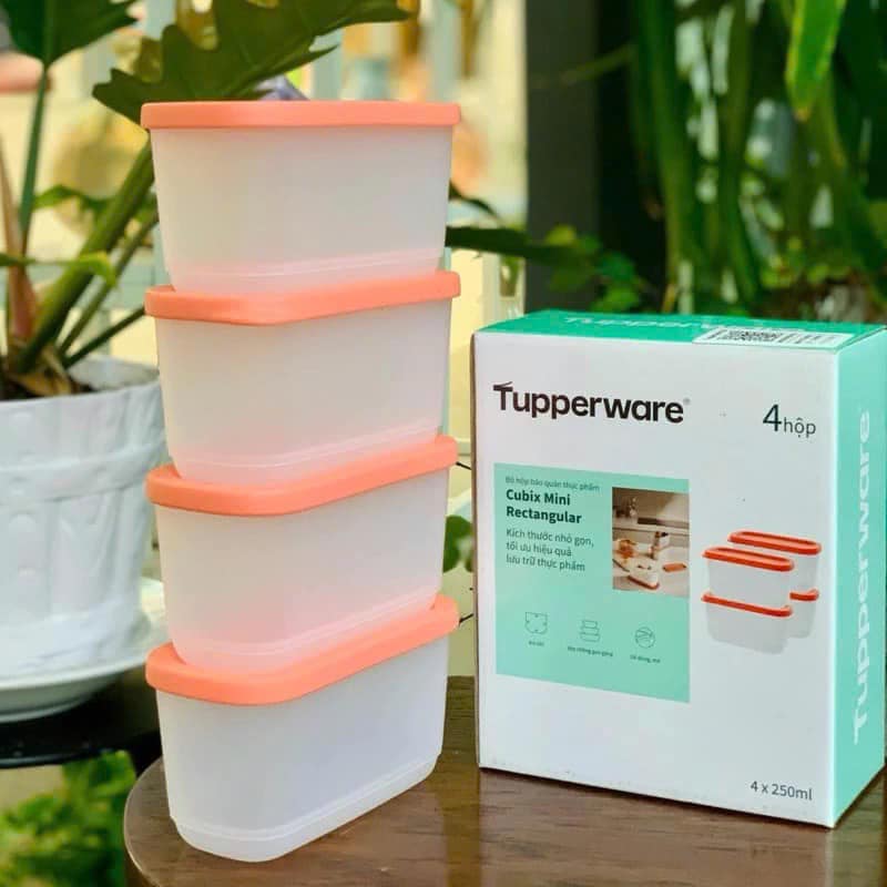 Bộ hộp BQTP Mini Rectangular colorful 250ml (4) - Tupperware chính hãng