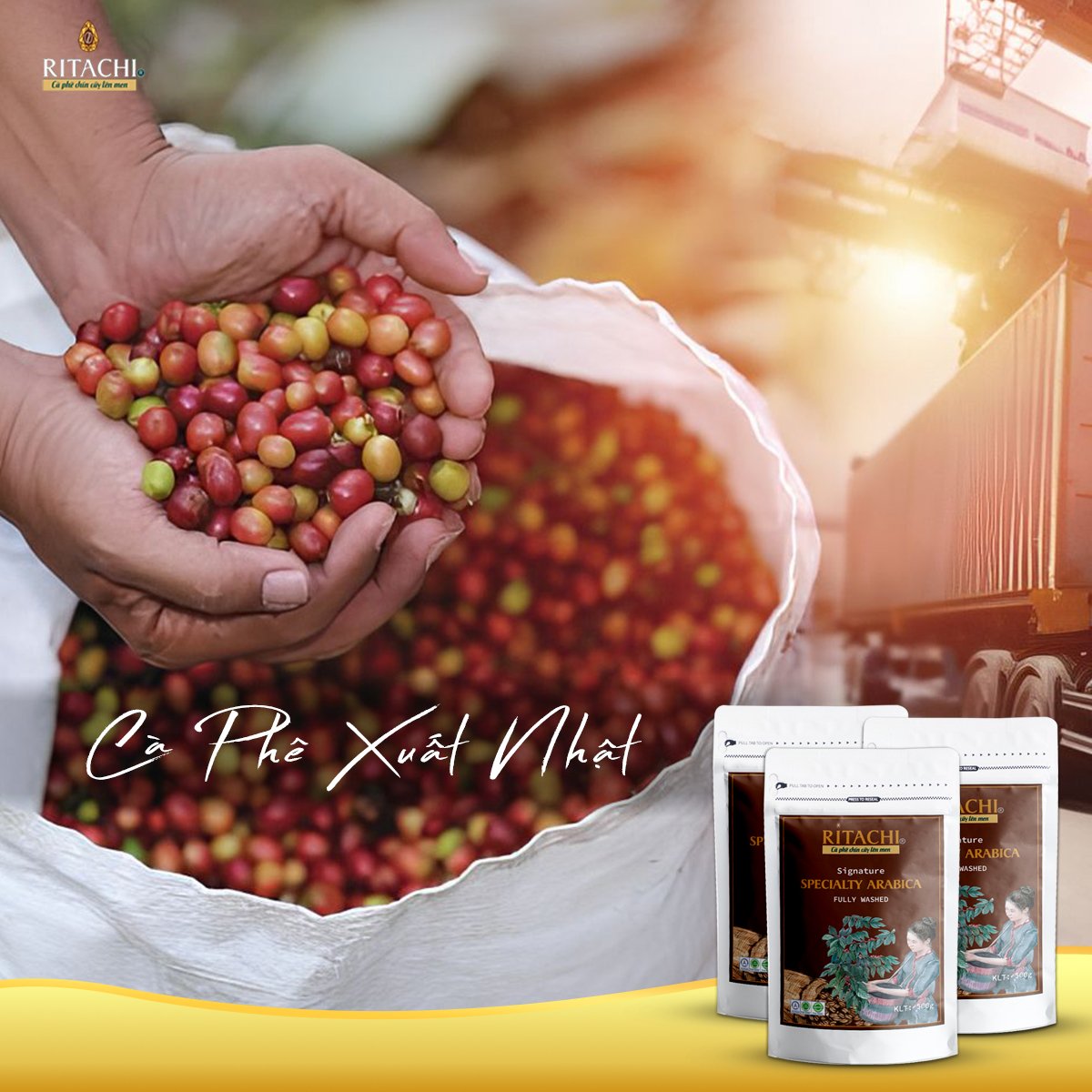 Combo Cà phê Filter Blend và Espresso Blend, Phối Cafe Arabica và Rubusta, 100% Rang Mộc,Cà Phê Pha Máy, Pha Phin, Cold Brew, Fine Robusta và Specialty Arabica 2 gói 250gr
