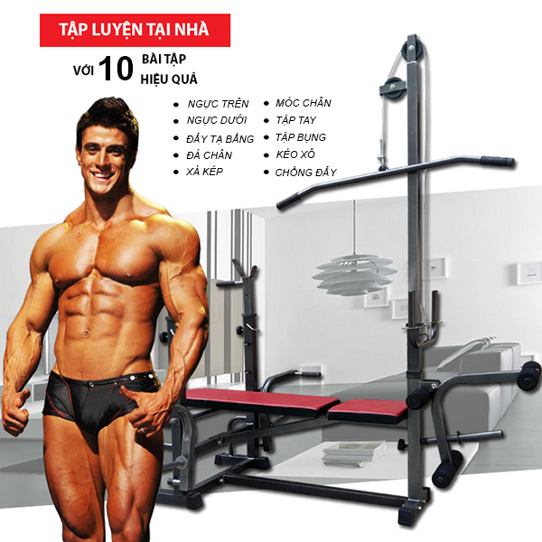Ghế tập tạ đa năng KN-116, ( Không bao gồm đòn và tạ)