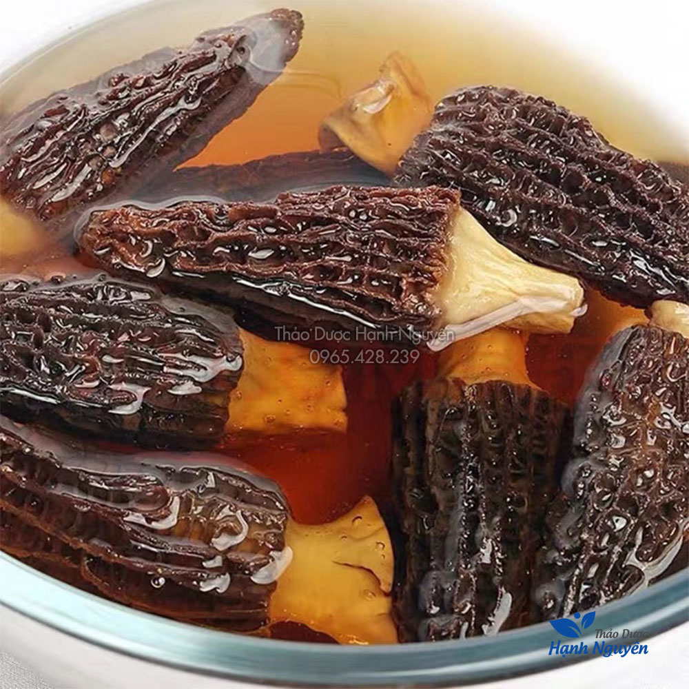 Nấm bụng dê 50g, nấm quý nấu canh, lẩu nấm, nấm dưỡng sinh, bổ dưỡng, tăng cường sức khỏe