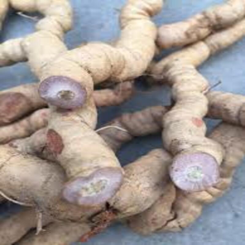 Ba kích tím quảng ninh tươi. Túi 500g thảo dược tốt cho sức khỏe nam giới thể hiện bản lĩnh đàn ông