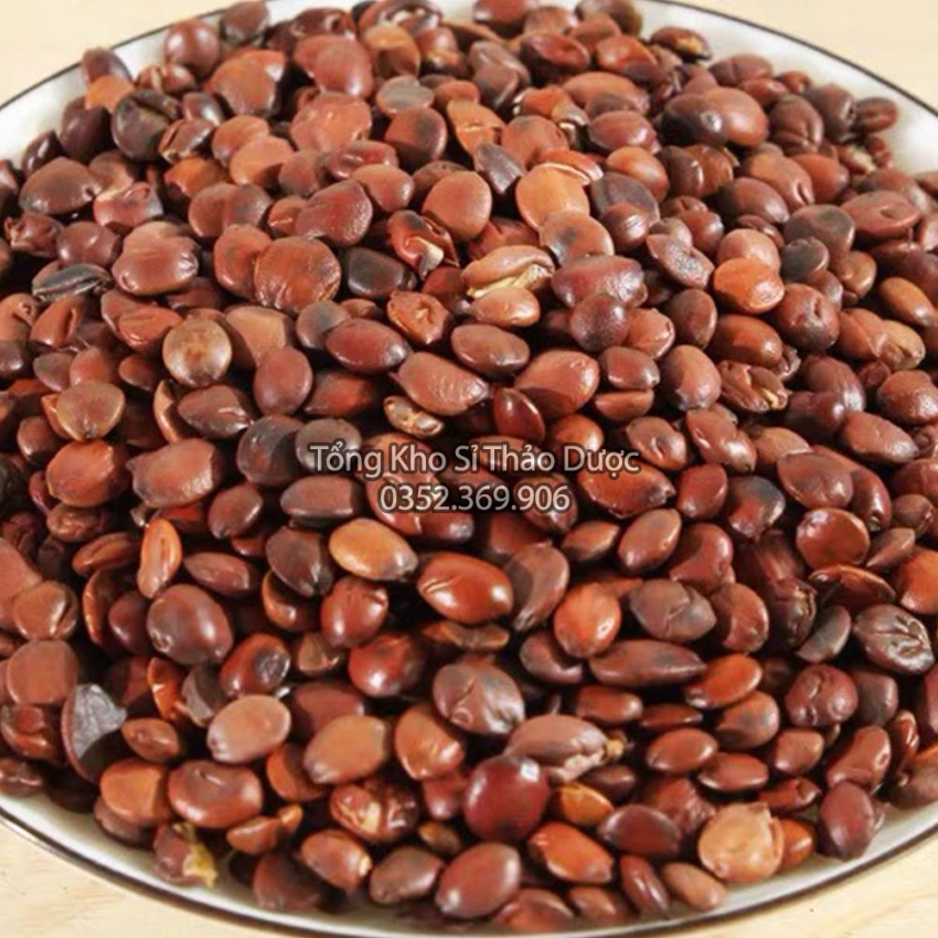 Táo Nhân 100g (Toan Táo Nhân)