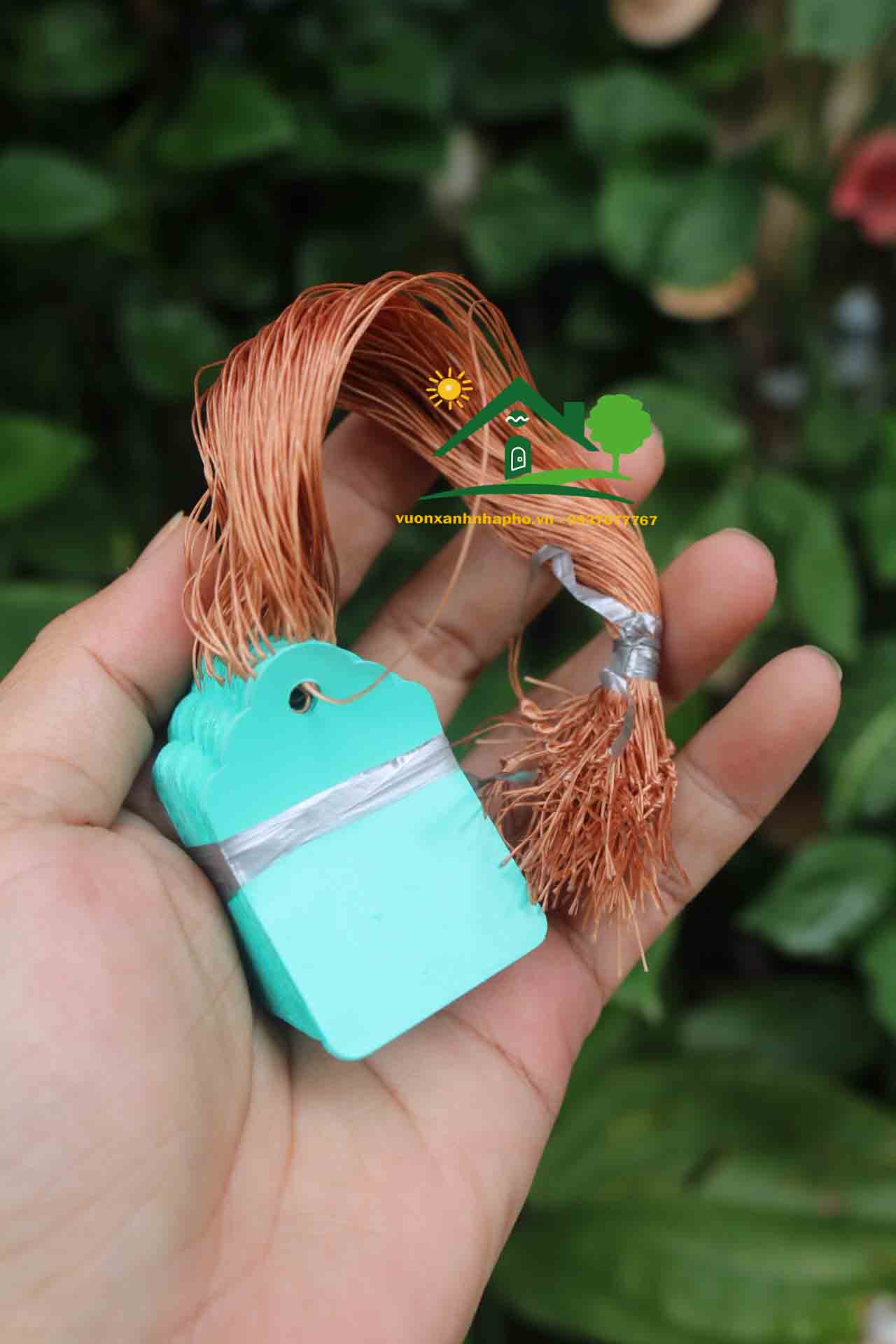 [HCM]Set 100 Thẻ Treo Màu Bằng Nhựa Đánh Dấu Cây Trồng Name Tag 4.5*3cm