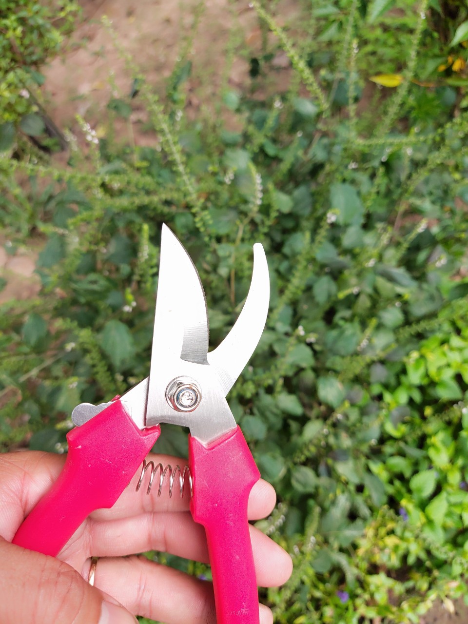cưa gỗ cầm tay cao cấp nhật bản