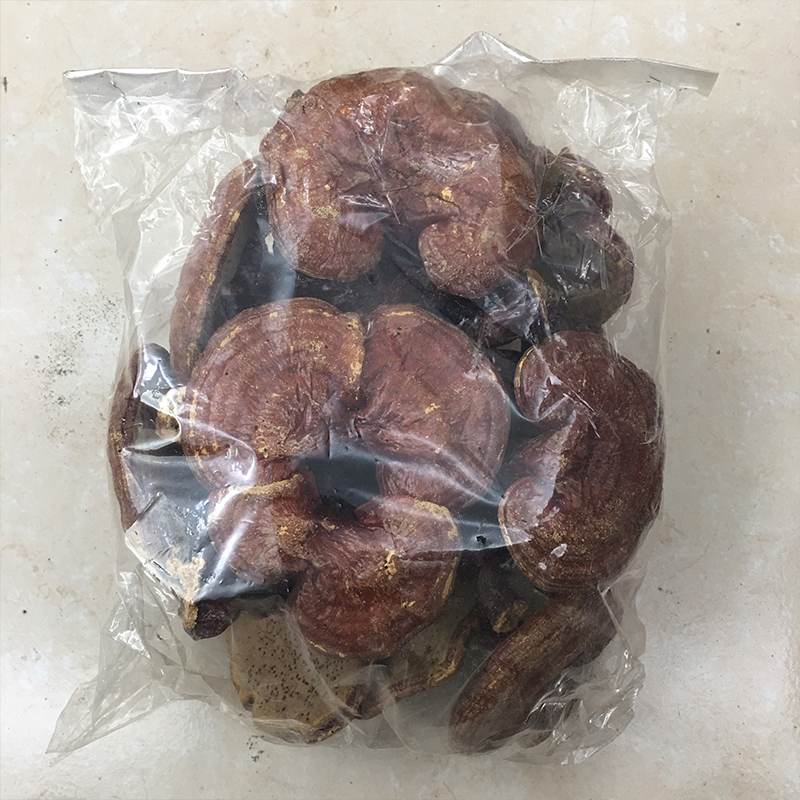 Nấm Lim Xanh(1KG) HÀNG CHUẨN LOẠI 1