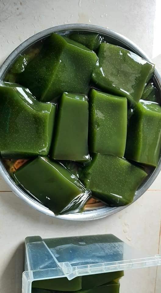 [HCM]Hạt giống sâm lông