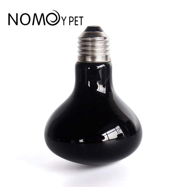 [HCM]Đèn sưởi đêm cho bò sát