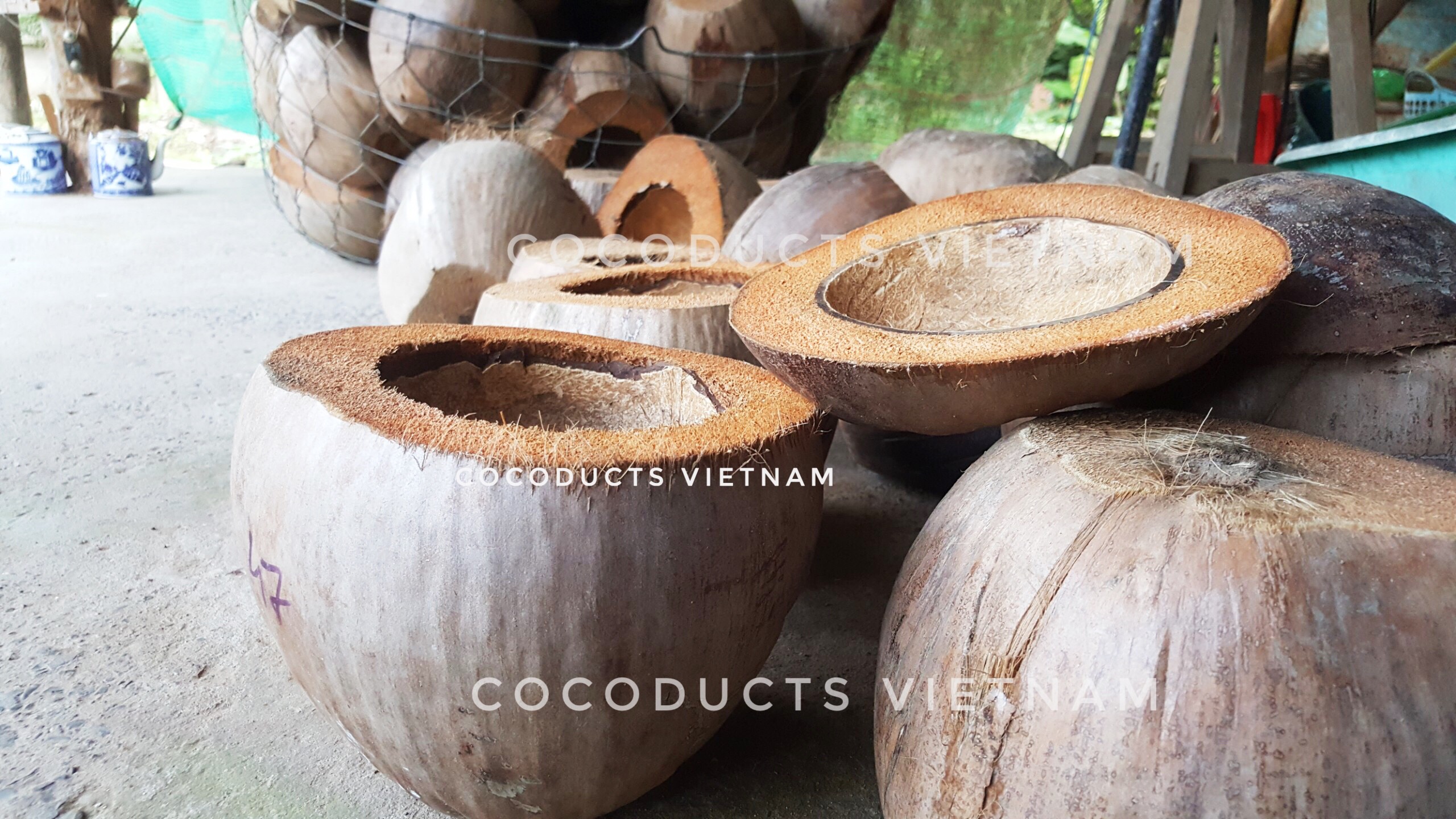[HCM]Vỏ bình trà gáo dừa truyền thống