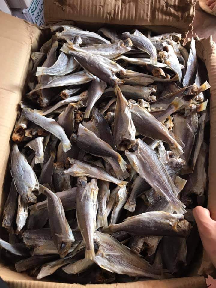 1kg CÁ ĐÙ KHÔ DAI NGON