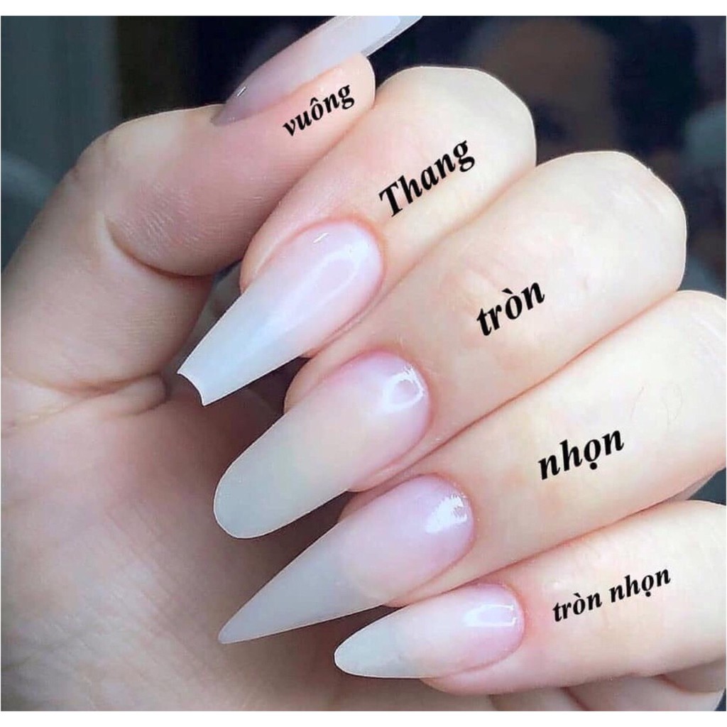 Nailbox bướm cute 12 ngón Chubby  - A69