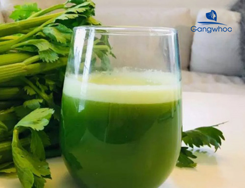 HẠT GIỐNG CẦN TÂY MỸ KHỔNG LỒ 100 hạt (cần tây ép nước)