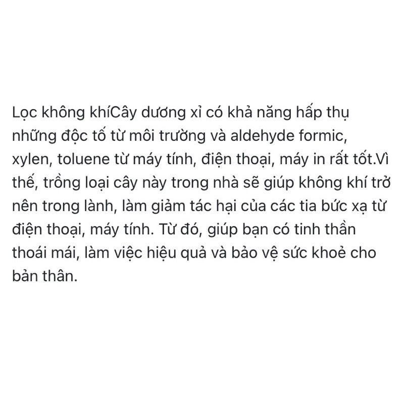 dương xỉ  thân gỗ (cây giống bao sống)
