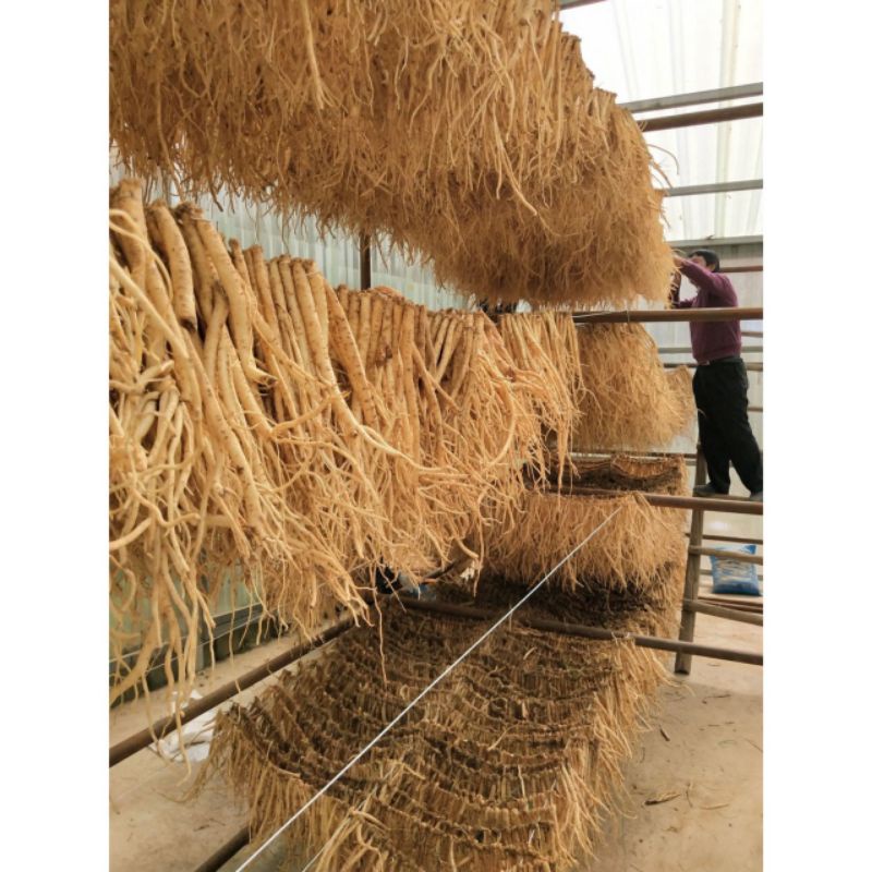 Đẳng sâm khô loại 1 thơm ngon